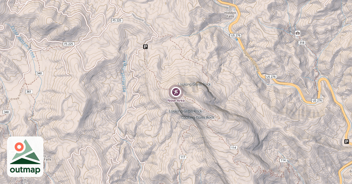 Map of Nose Area