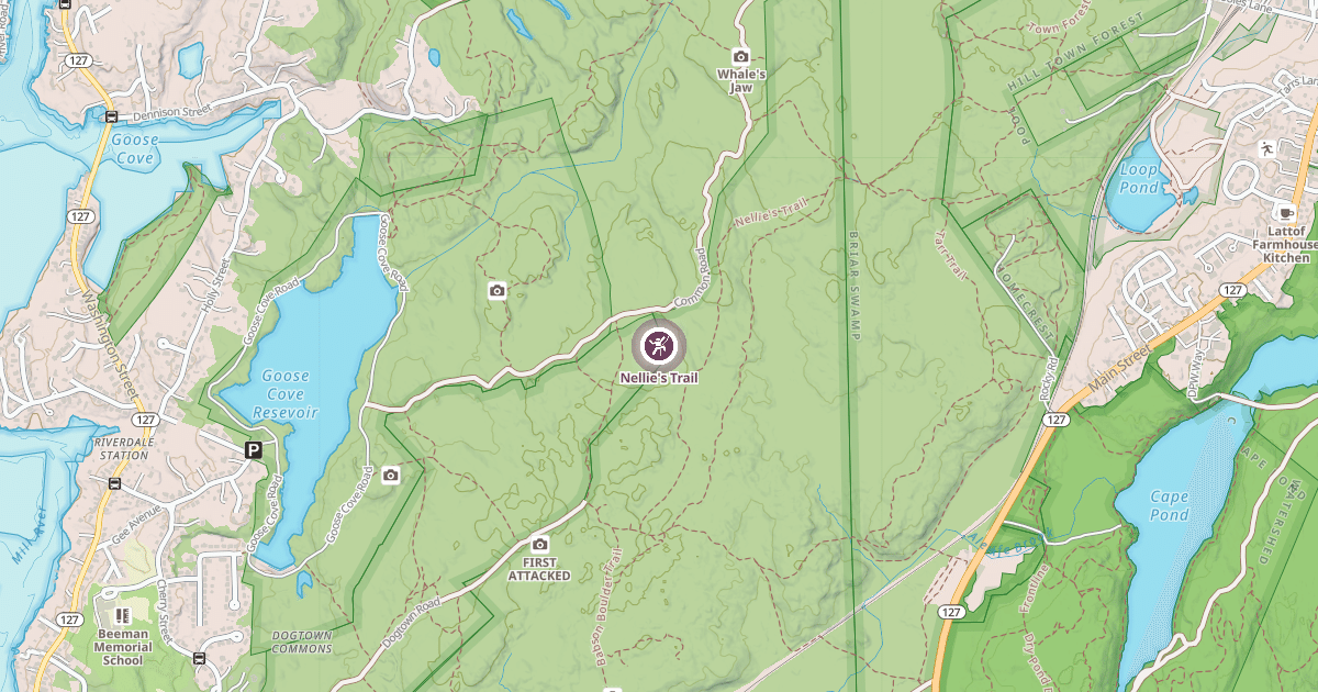 Map preview of Nellie's Trail