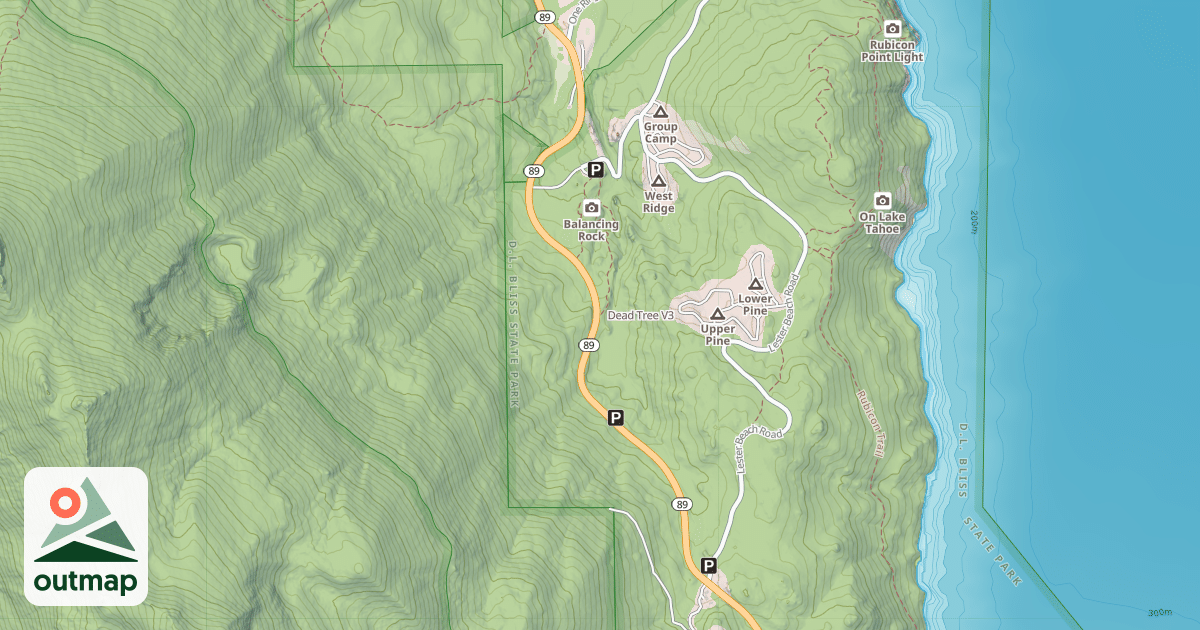 Map of Dead Tree