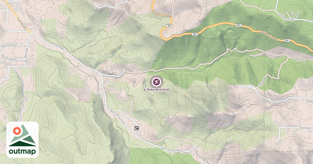 Map of 6. Baby Bird Wall
