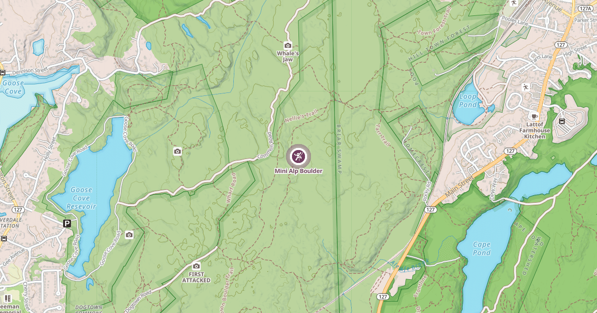 Map preview of Mini Alp Boulder