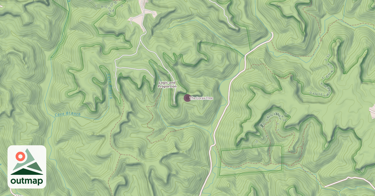 Map of The Lorax Tree