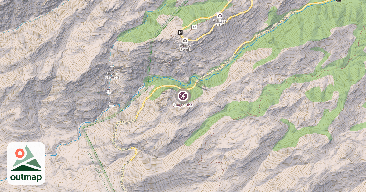 Map of Jungle, The