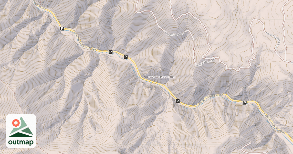 Map of Croc-skin Purse