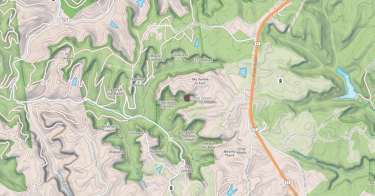 Map preview of Limbic System