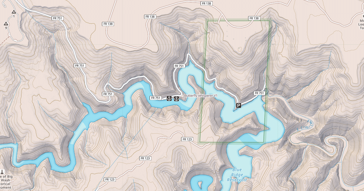 Map preview of Butterfly whisperer