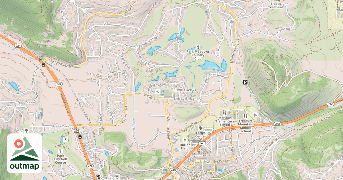Map of COVID Crack