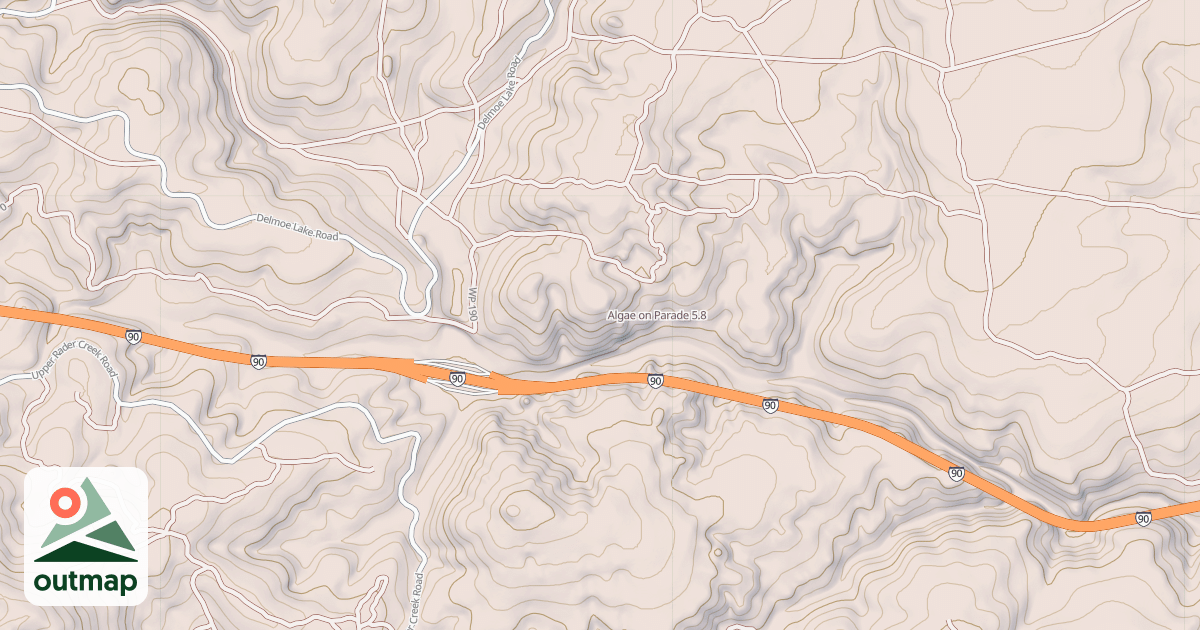Map of Algae on Parade