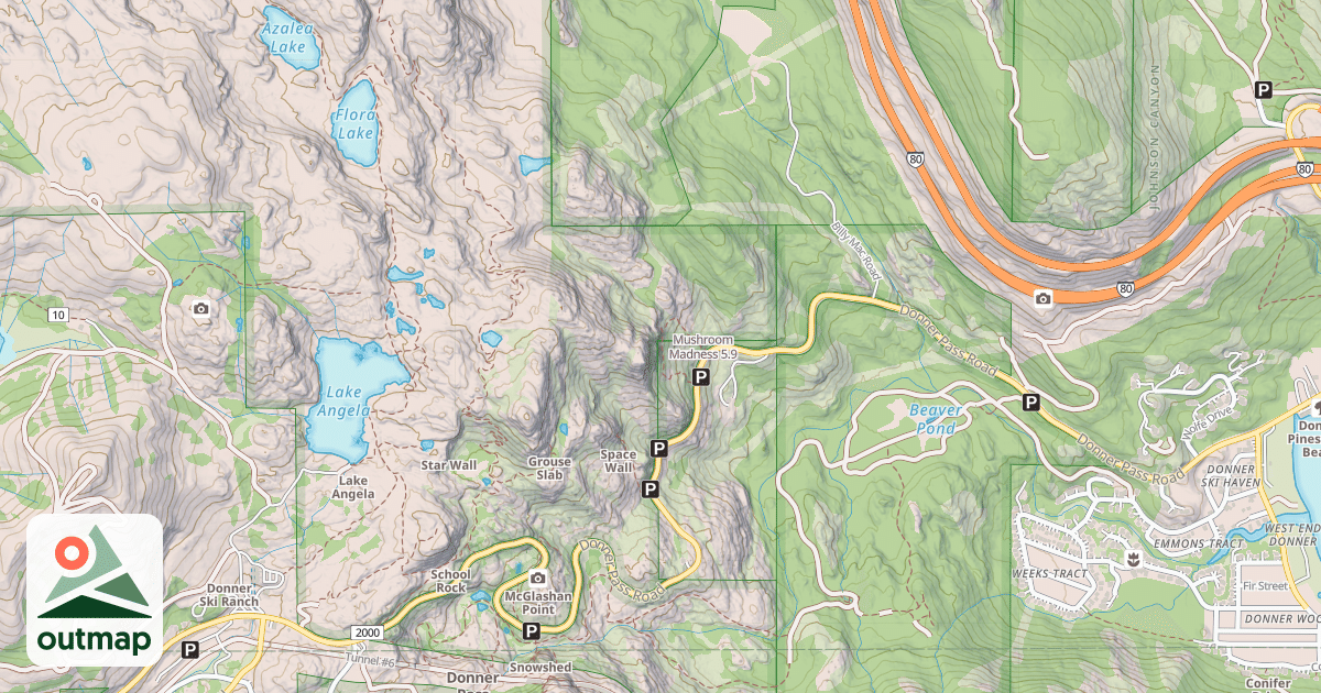 Map of Mushroom Madness