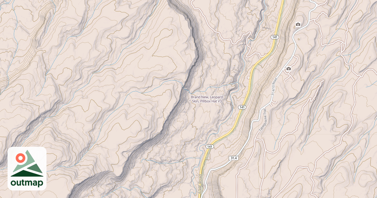 Map of Brand New, Leopard Skin, Pillbox Hat