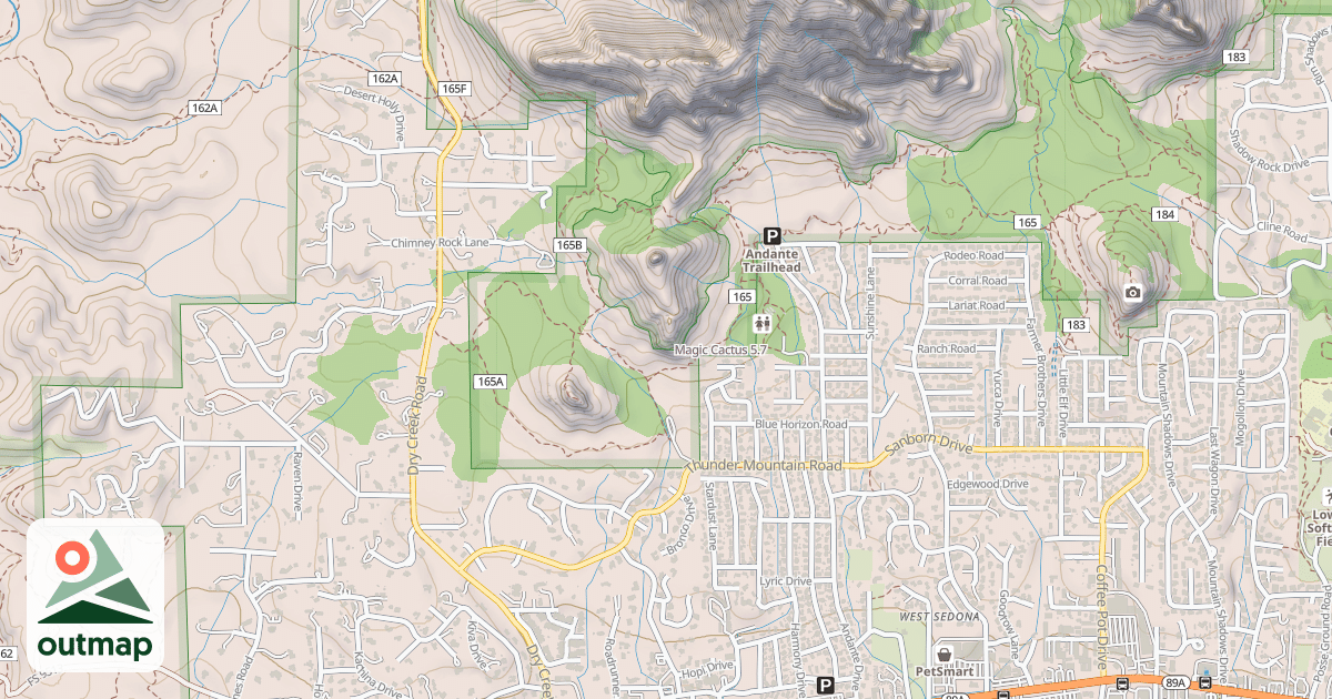 Map of Magic Cactus