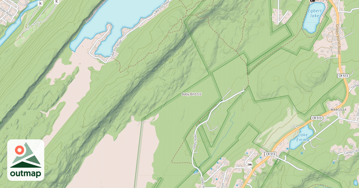 Map of Baby Bird