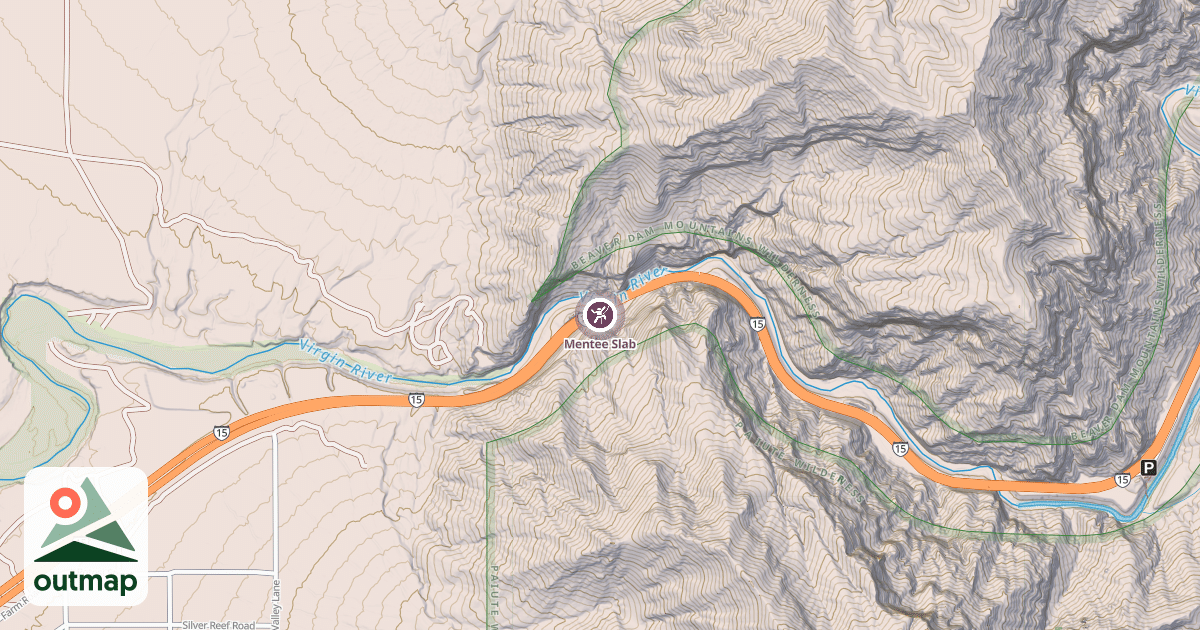 Map of Mentee Slab