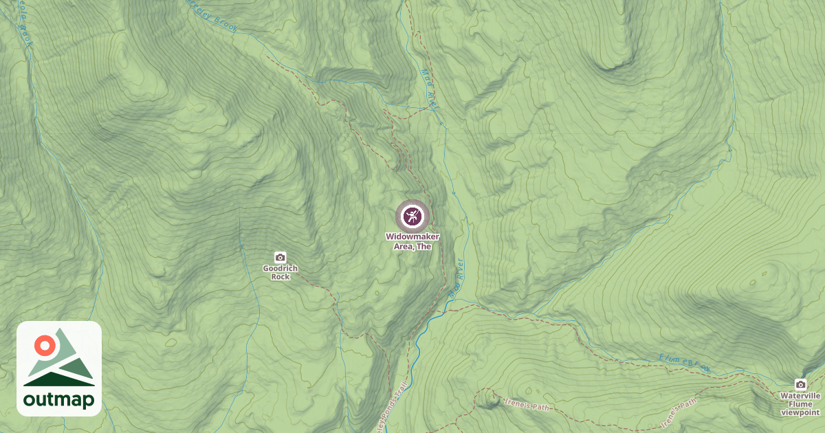 Map of Widowmaker Area, The