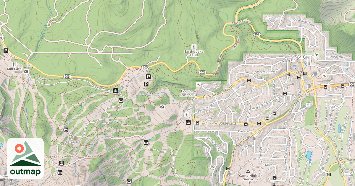 Map of Dogs on a Leash