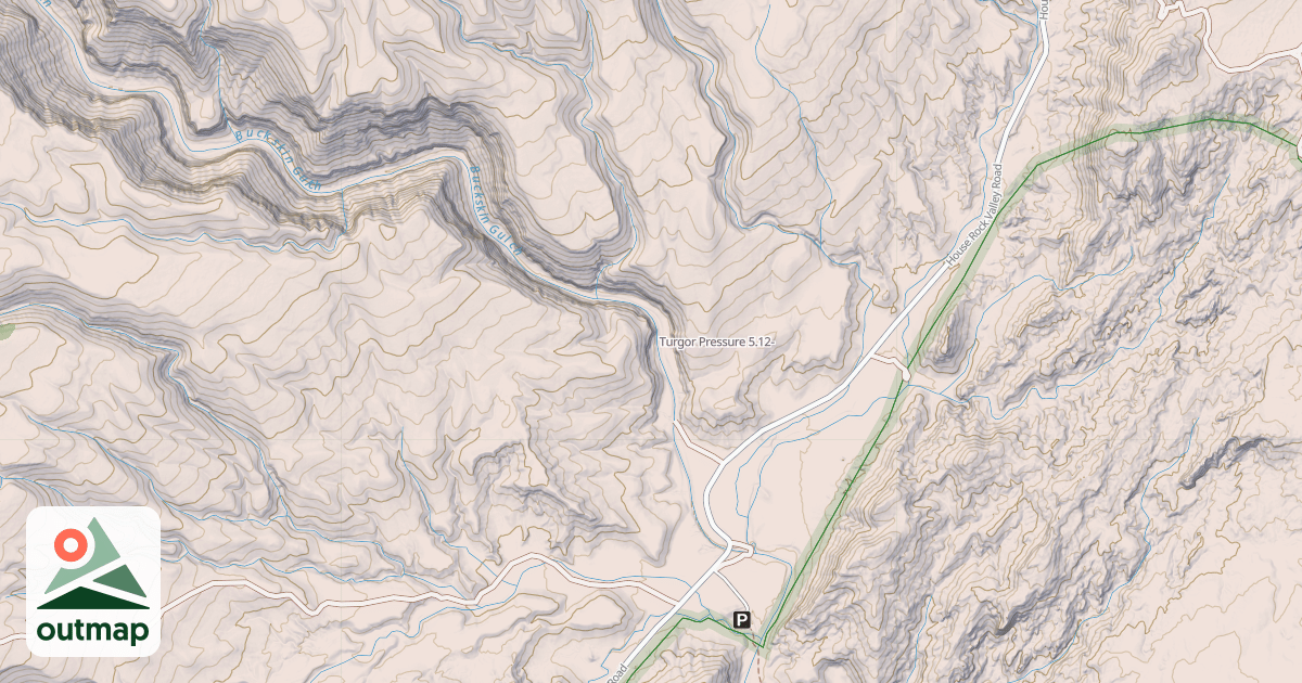 Map of Turgor Pressure
