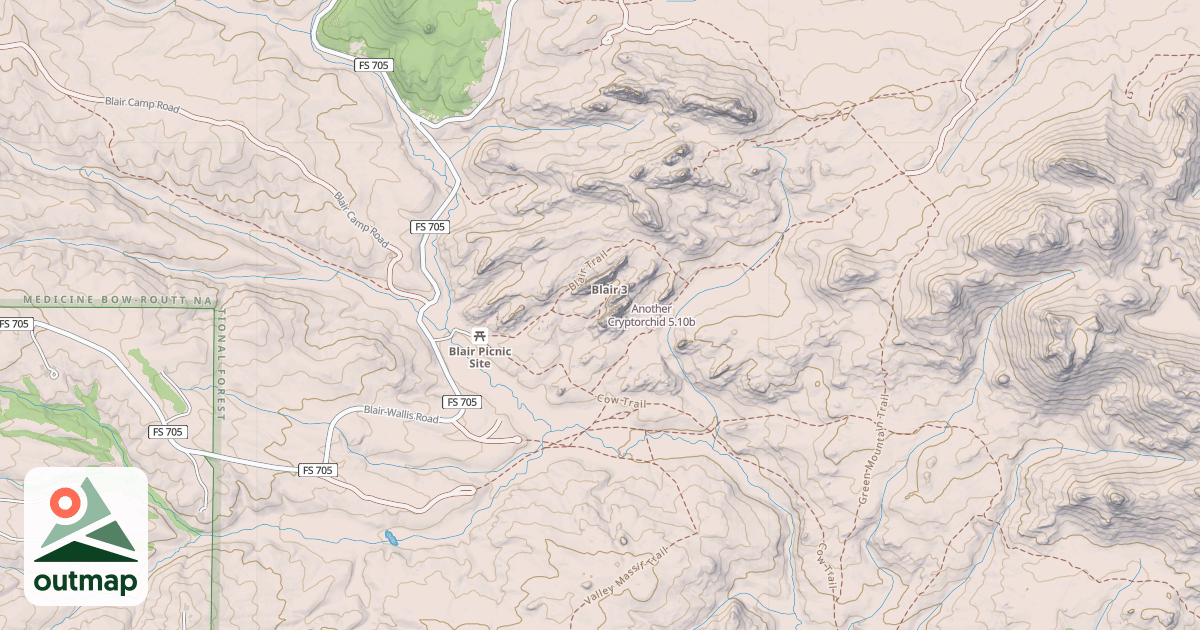 Map of Another Cryptorchid