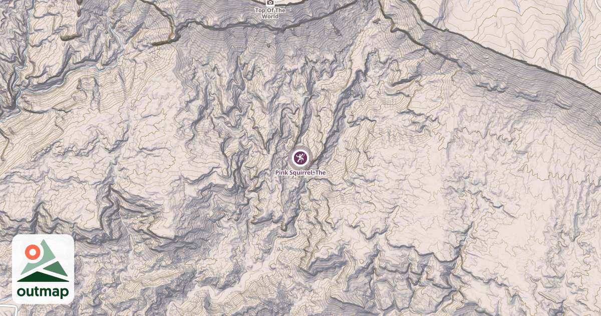 Map of Pink Squirrel, The