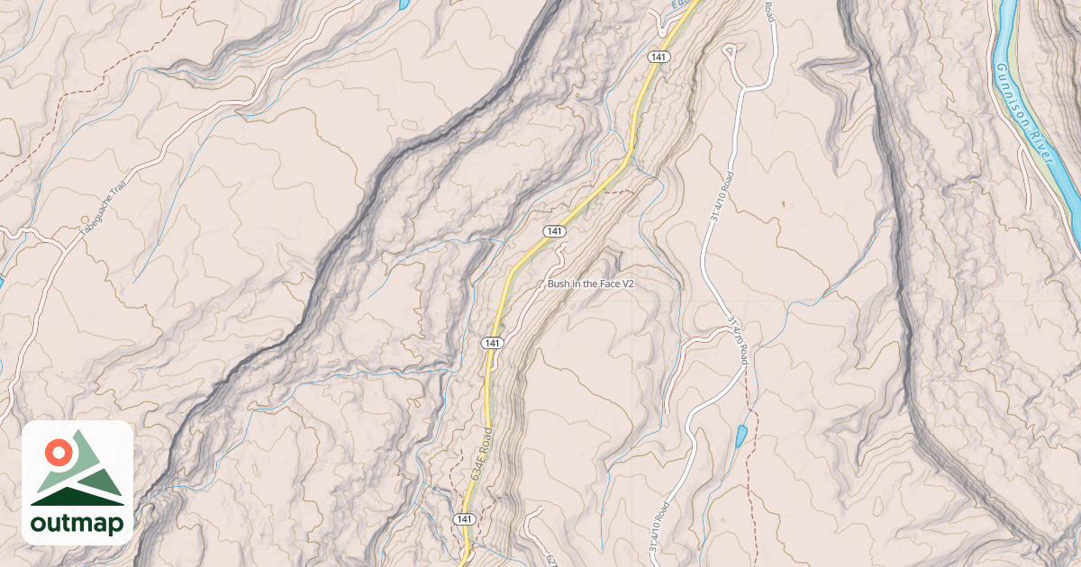 Map of Bush in the Face