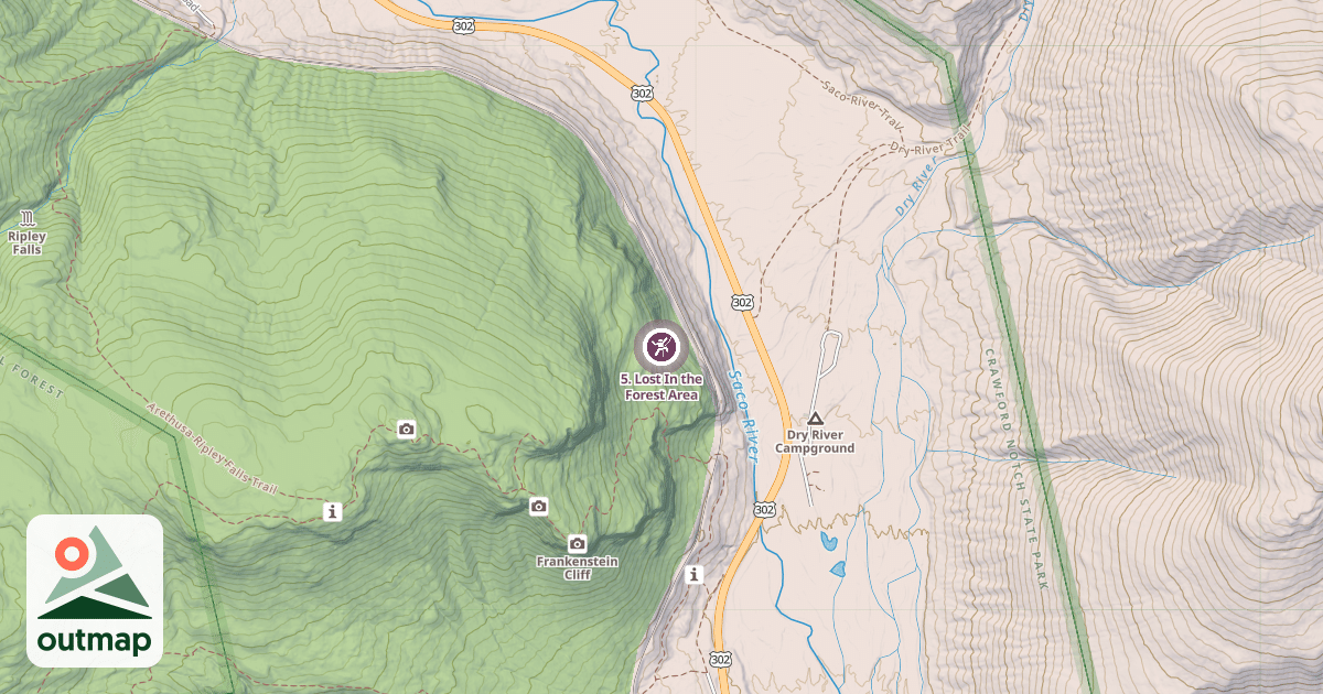 Map of 5. Lost In the Forest Area