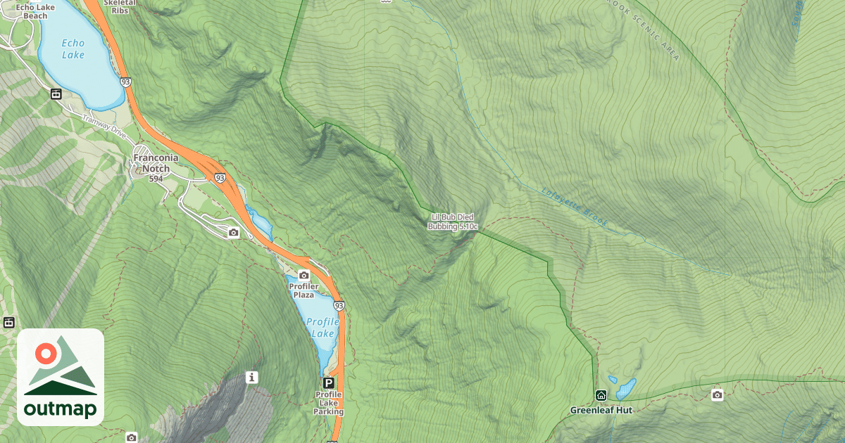 Map of Lil Bub Died Bubbing