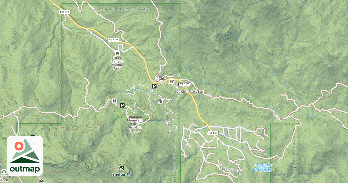 Map of Dolphin Face