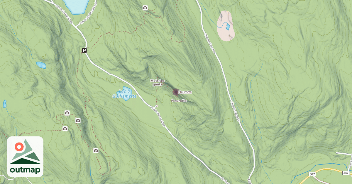 Map of Pleurotte