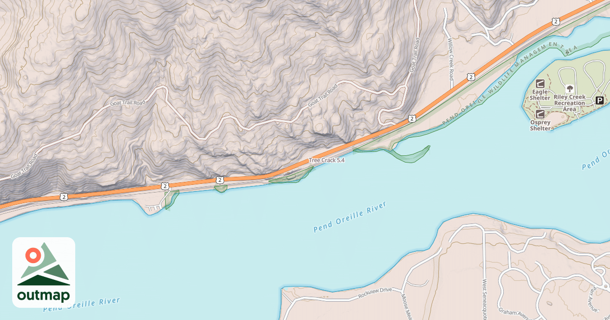 Map of Tree Crack