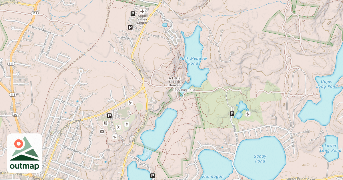 Map of Stick Bug