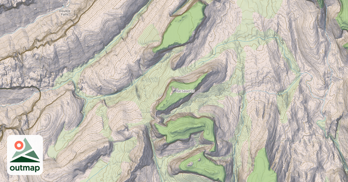 Map of Rat Salad
