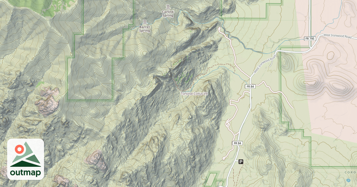 Map of Tortoise Coitus