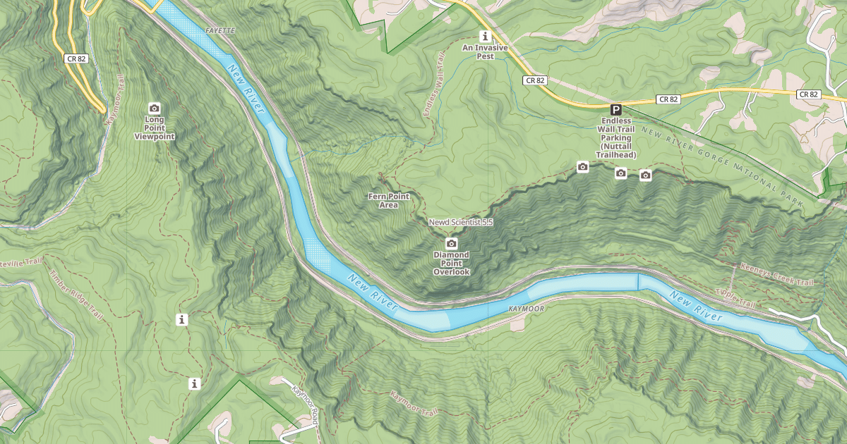Map preview of Newd Scientist