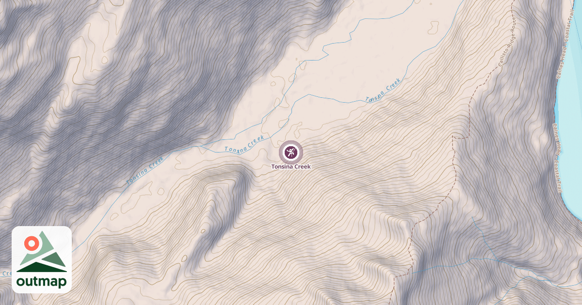 Map of Tonsina Creek