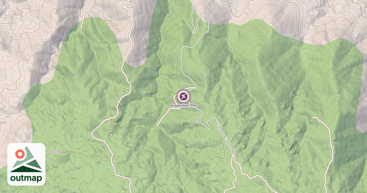 Map of Grapevine, The
