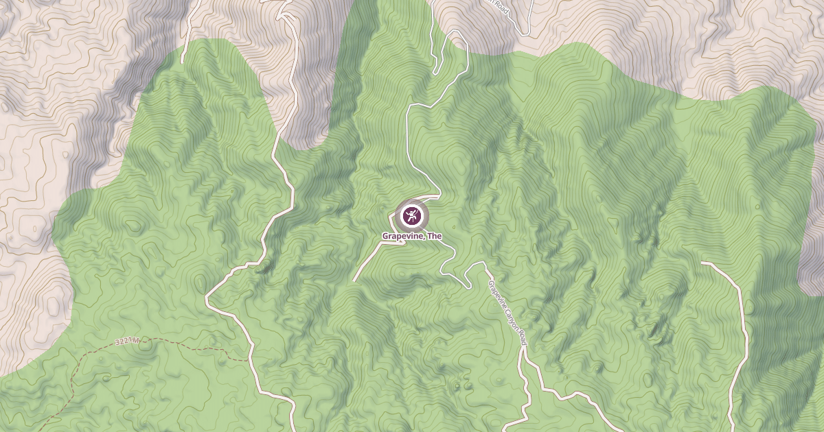 Map preview of Grapevine, The