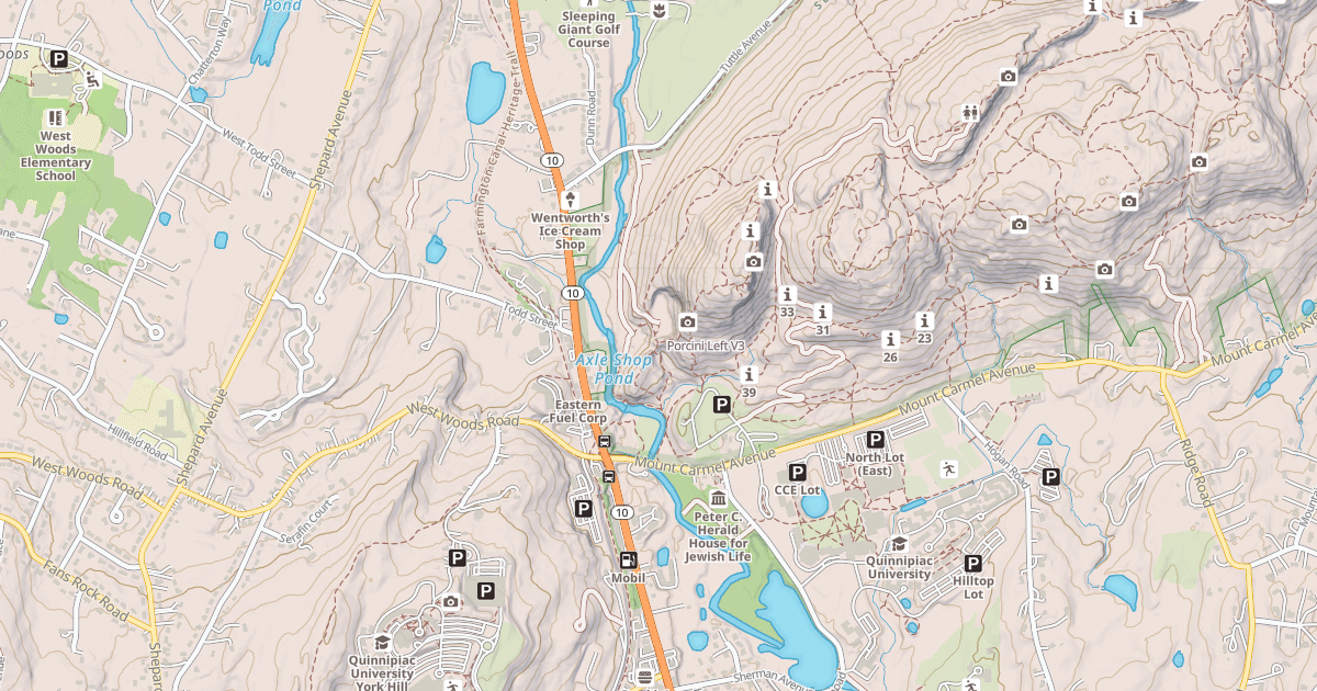 Map preview of Porcini Left