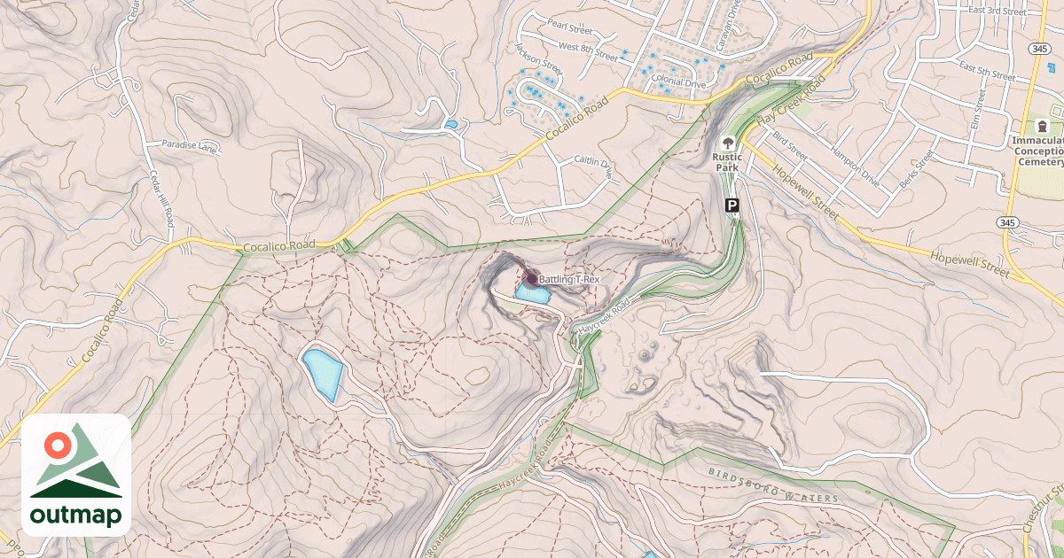 Map of Battling T-Rex
