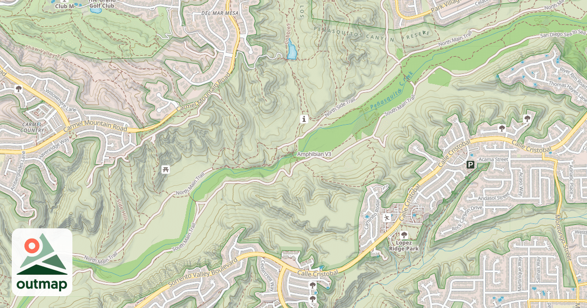 Map of Amphibian