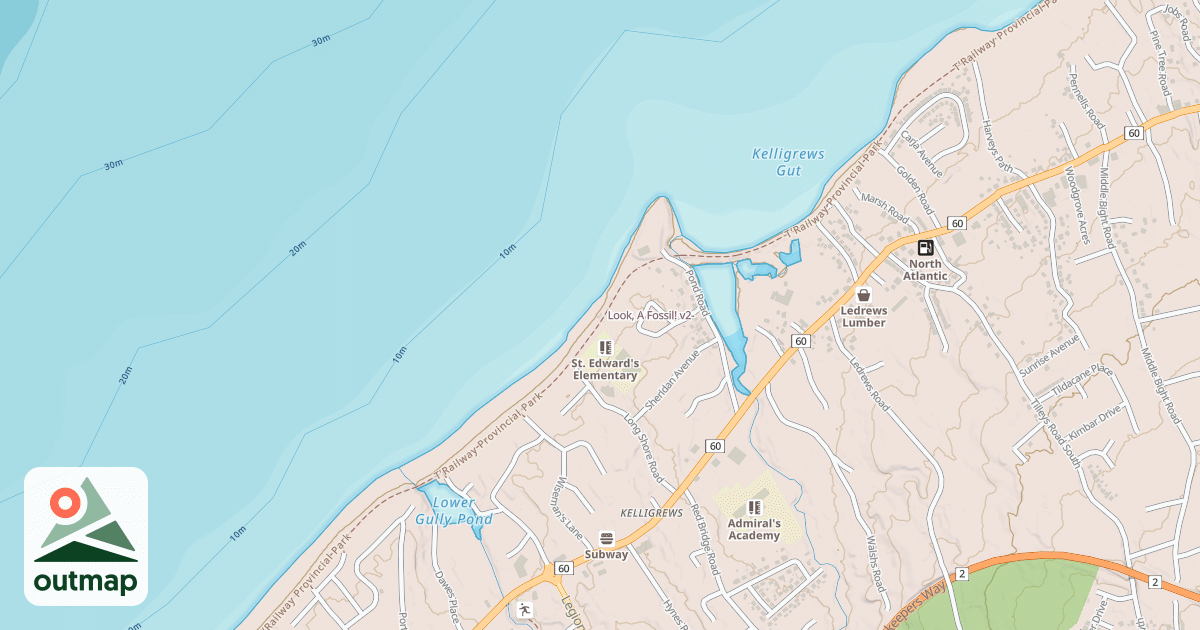 Map of Look, A Fossil!