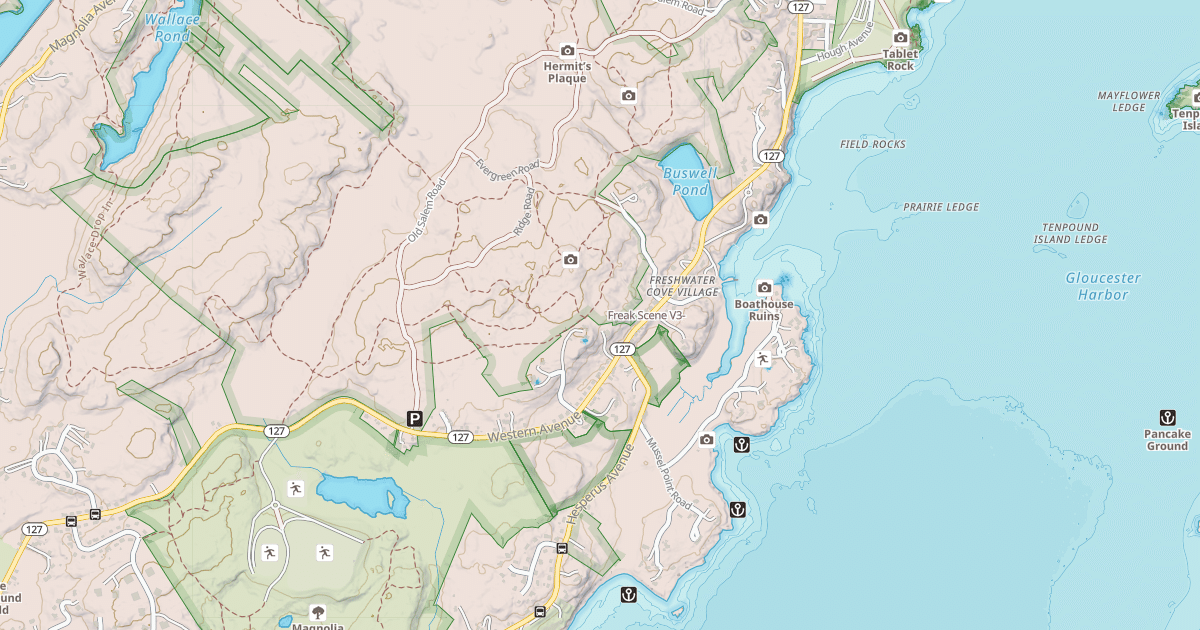 Map preview of Freak Scene