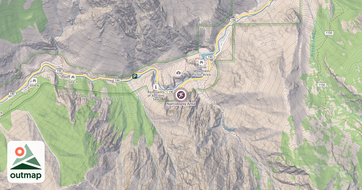 Map of Narcolepsy Area