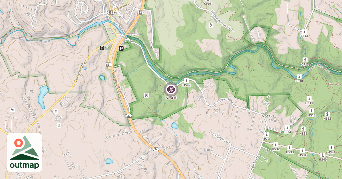Map of Nest B