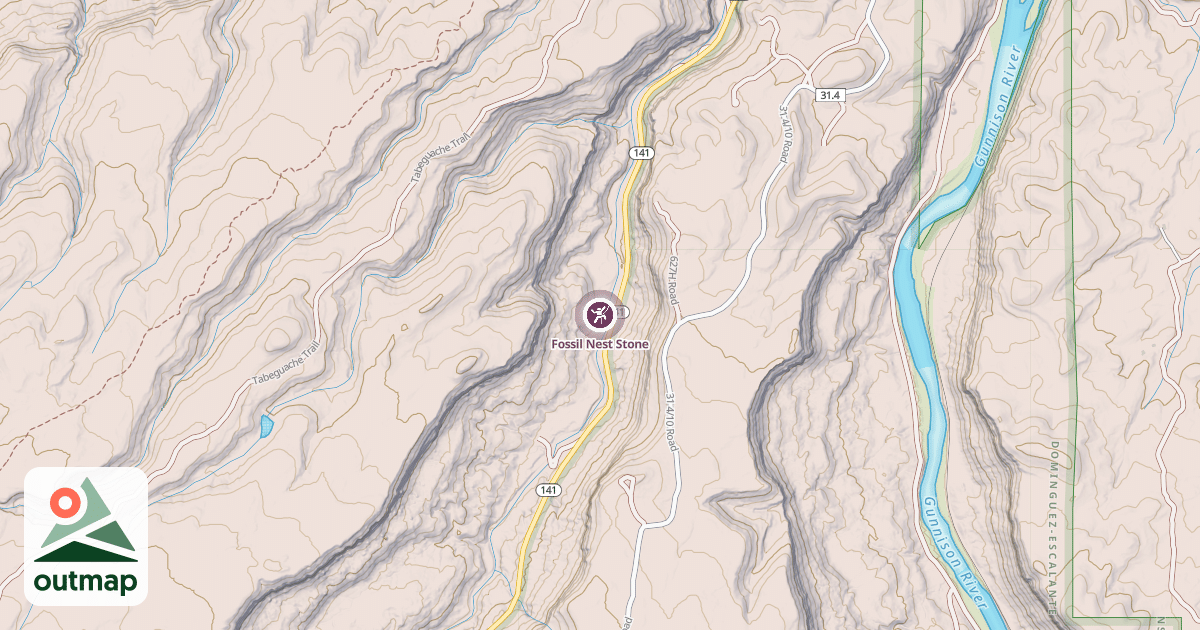 Map of Fossil Nest Stone