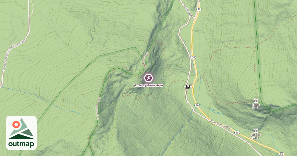 Map of 4. The Eyebrow Area