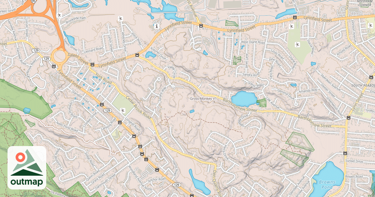 Map of Gross Monkey