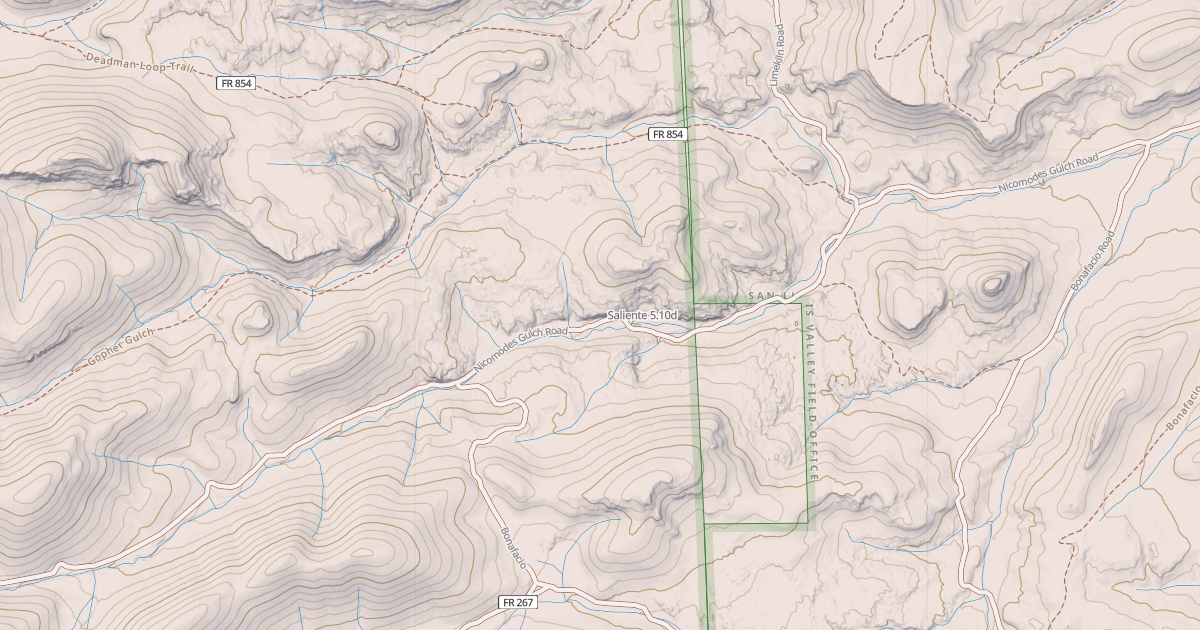 Map preview of Saliente
