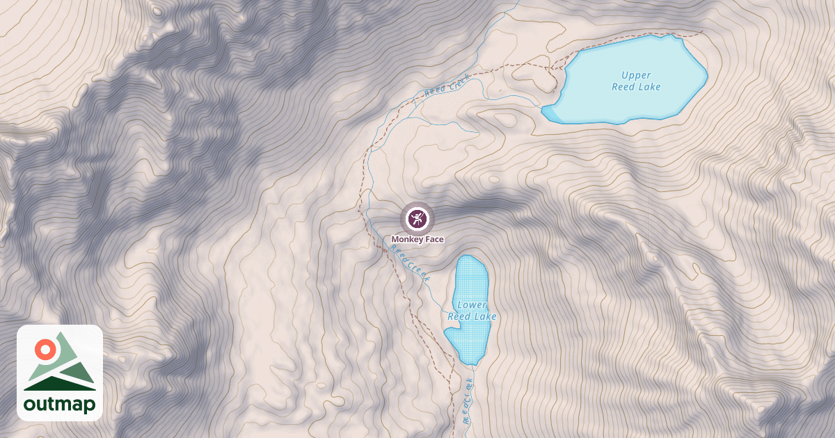 Map of Monkey Face