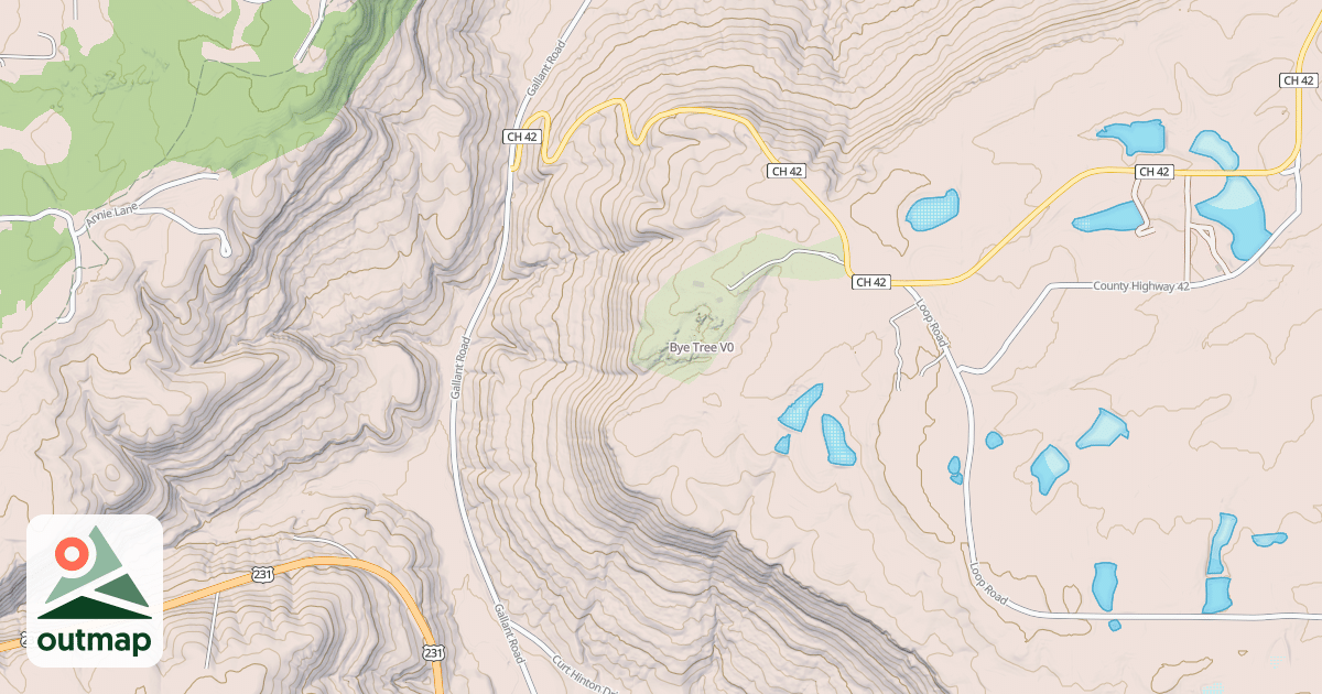 Map of Bye Tree