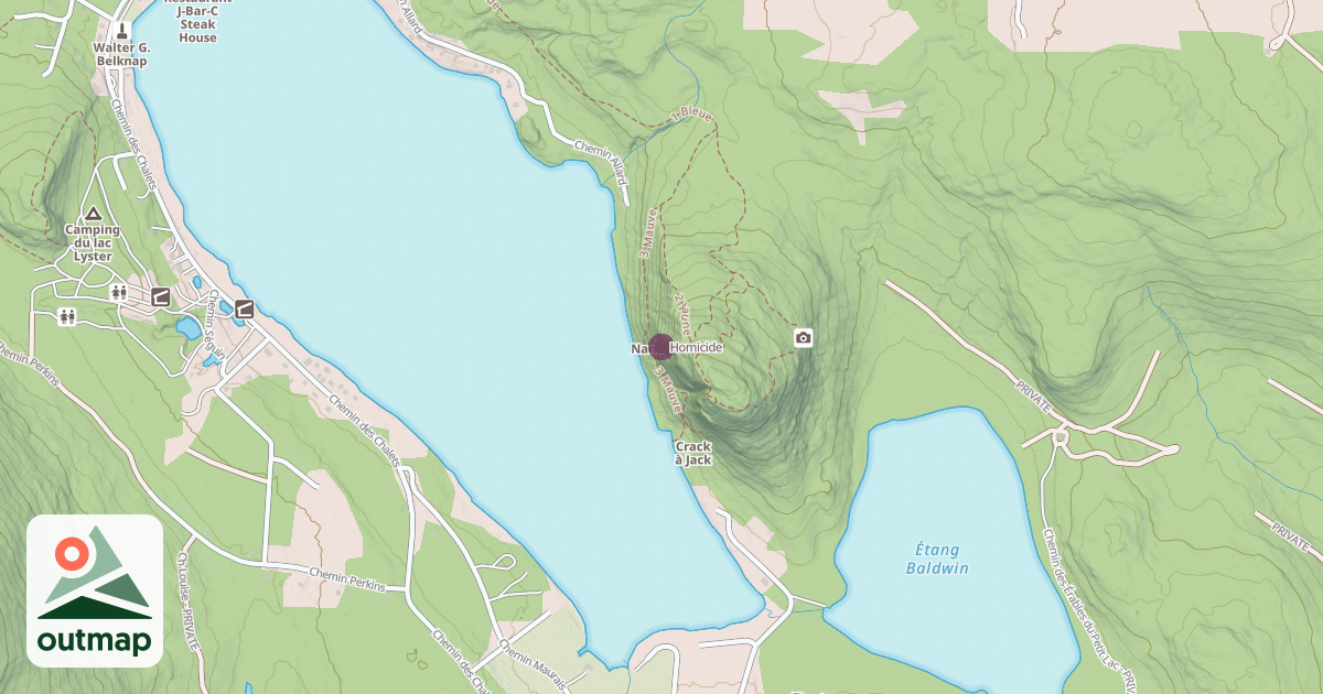 Map of Homicide