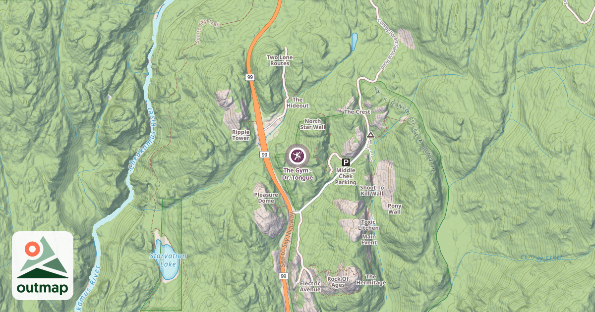 Map of The Gym - Dr. Tongue